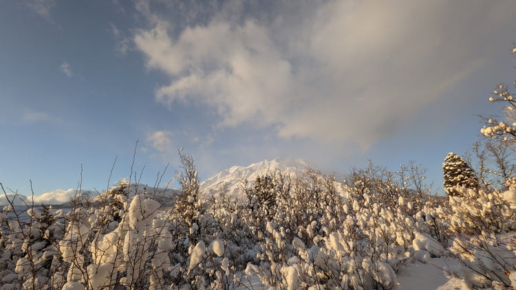 Menstrual Pain Relief Collection