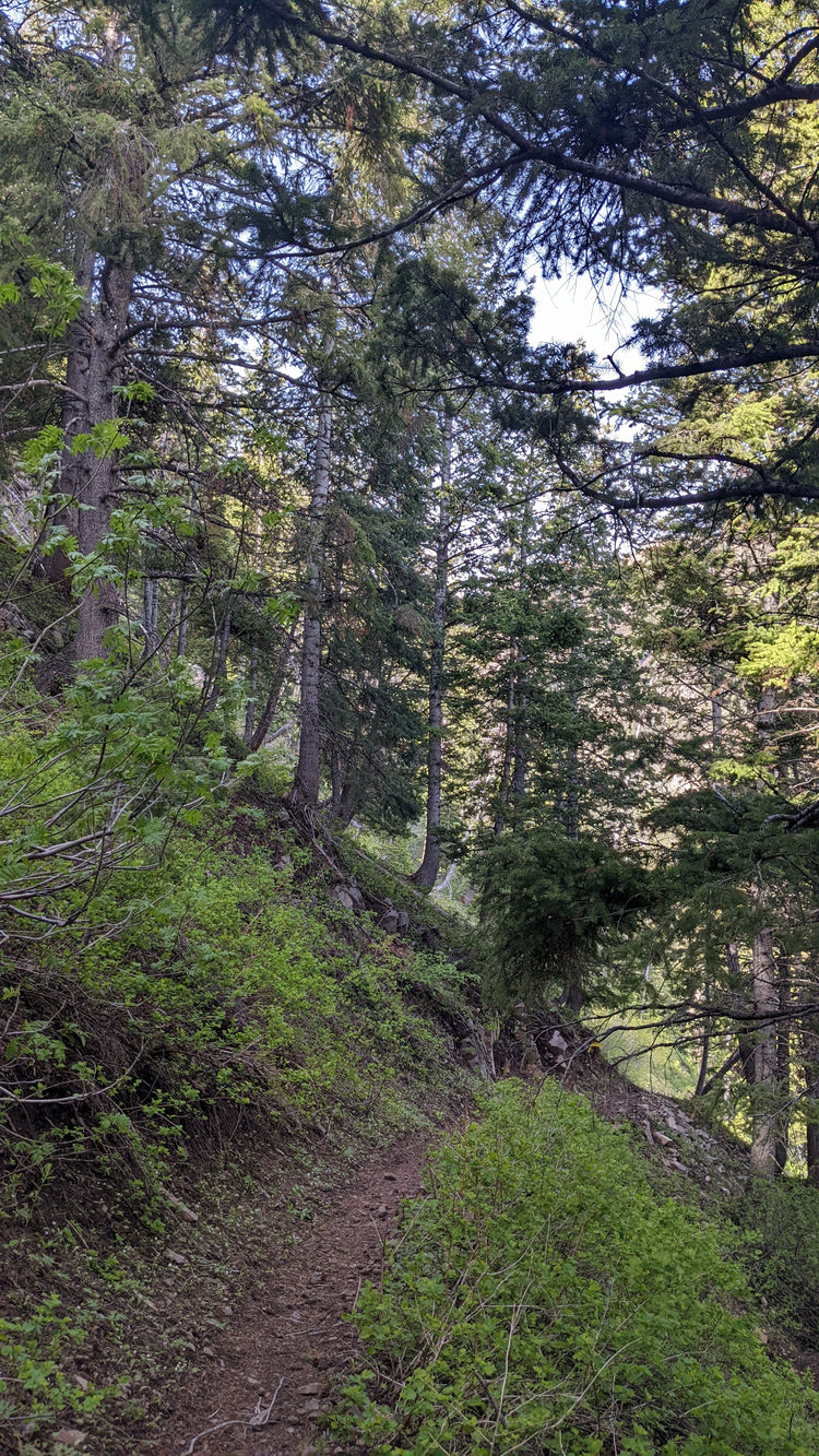 Muscle | Joint | Tendon Pain Relief