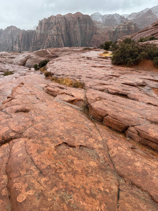 NEW! Intuitive Tarot Reading