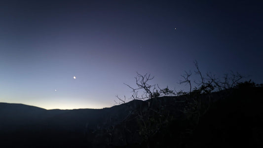 Medical Astrology Reading: Polaris Package (Natal Chart - Single Session)