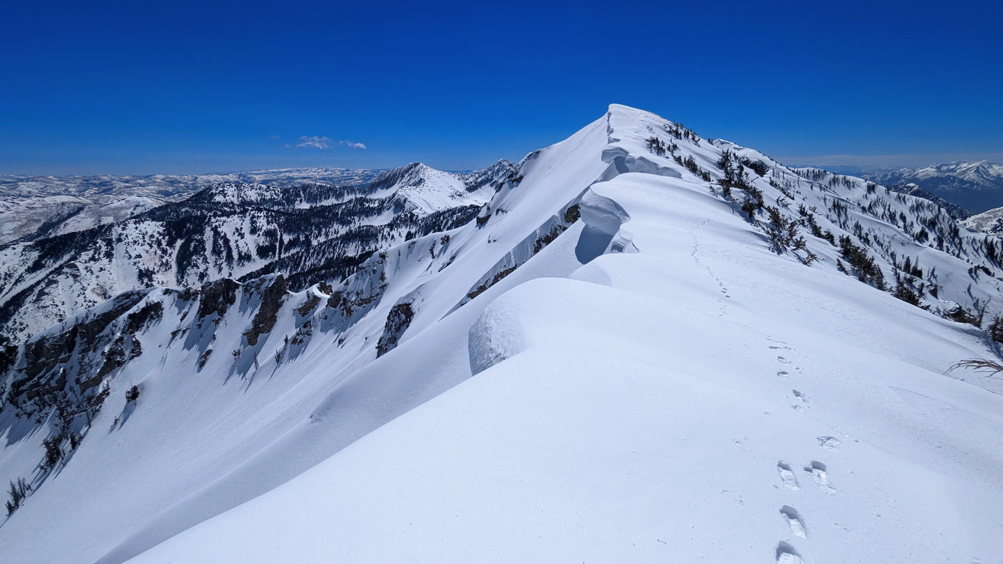 Health and Wellness Coaching Consultation: Everest Package (12 weeks, 16 sessions)