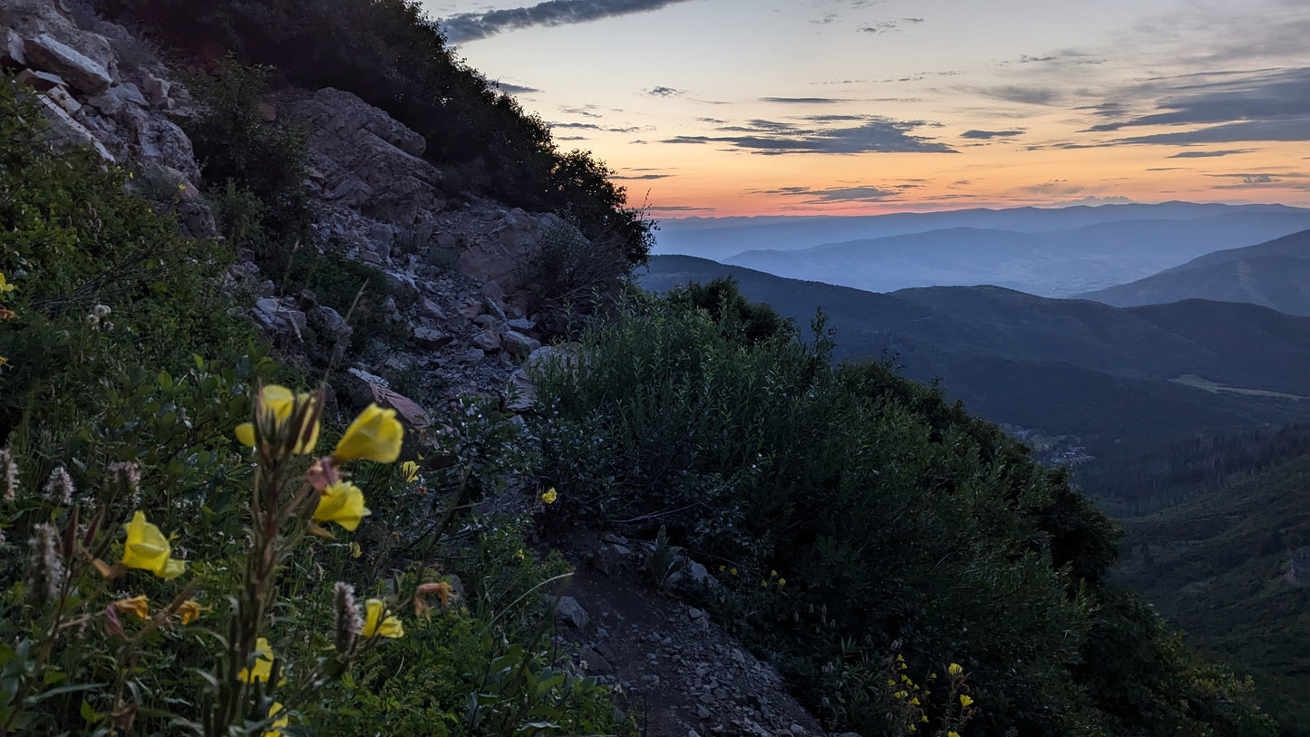 Mountain Freedom Wellness gift card — zodiac wellness support and astrology consultations