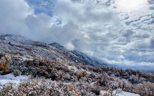 🔆 2026 Solar Return Reading: Align Your Year with Purpose, Power & Planetary Wisdom