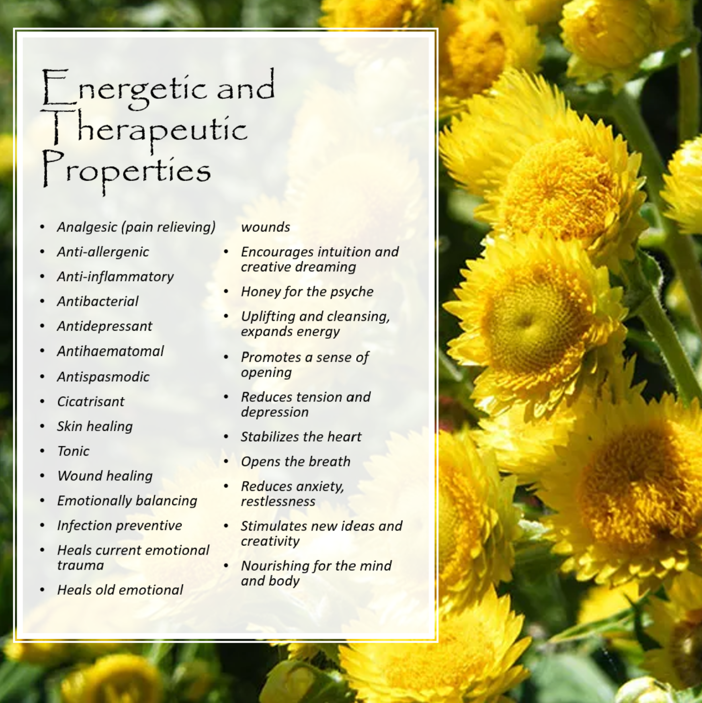 Massage Oils
