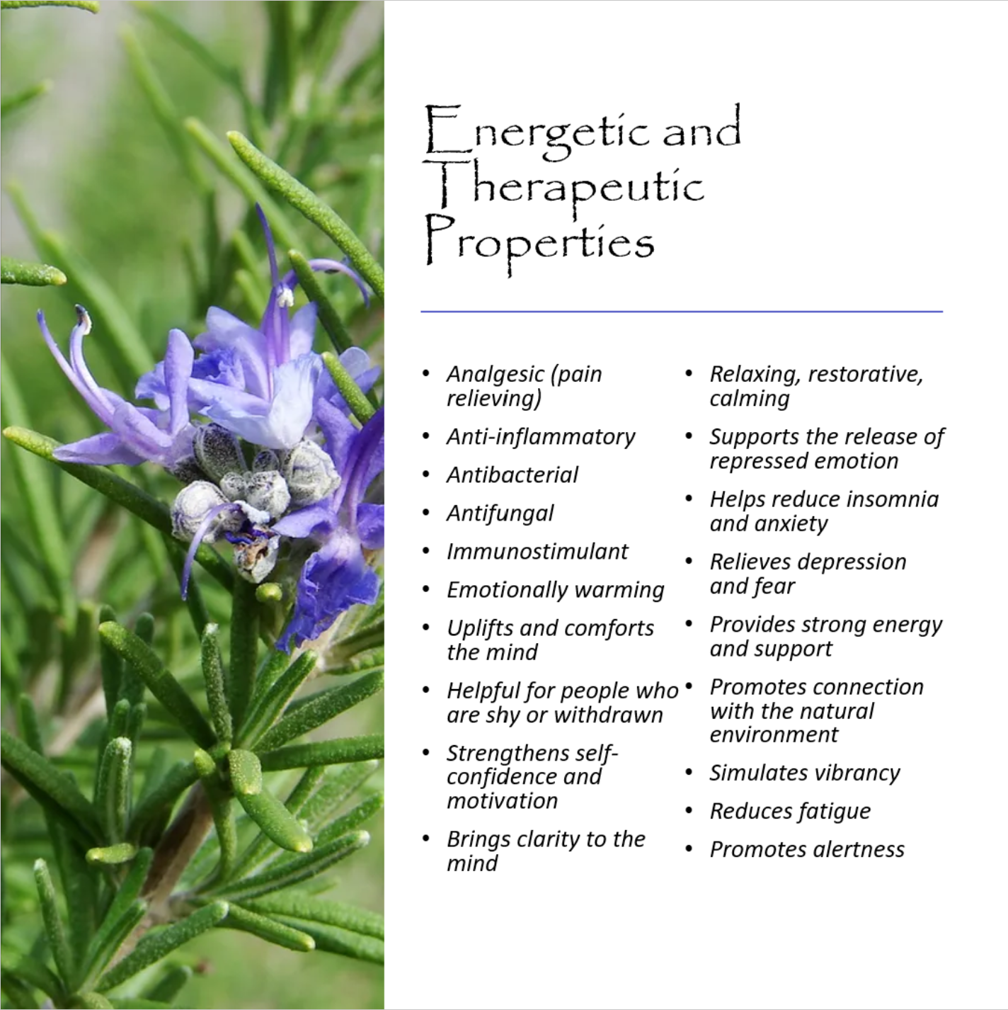Massage Oils