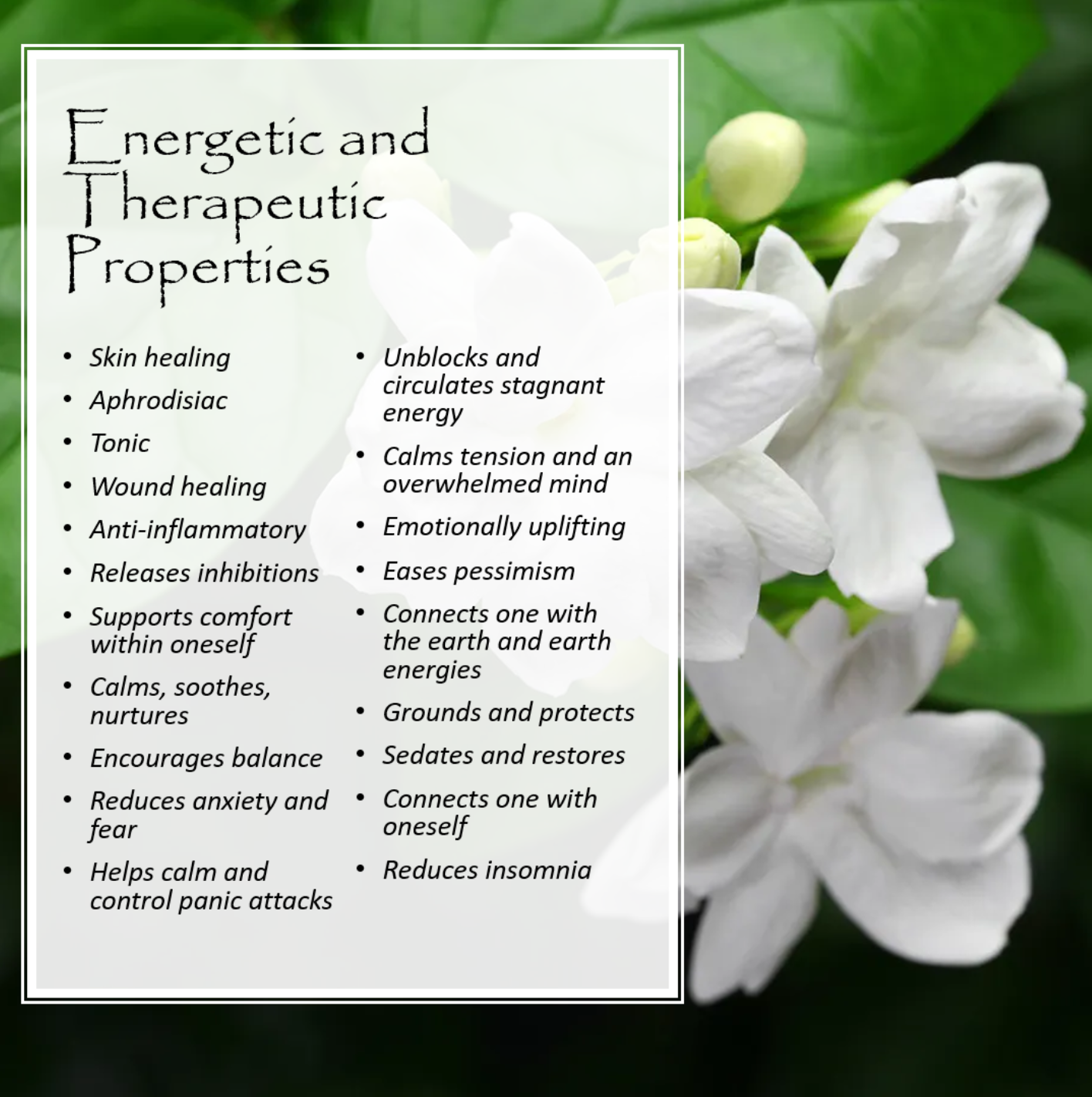 Massage Oils