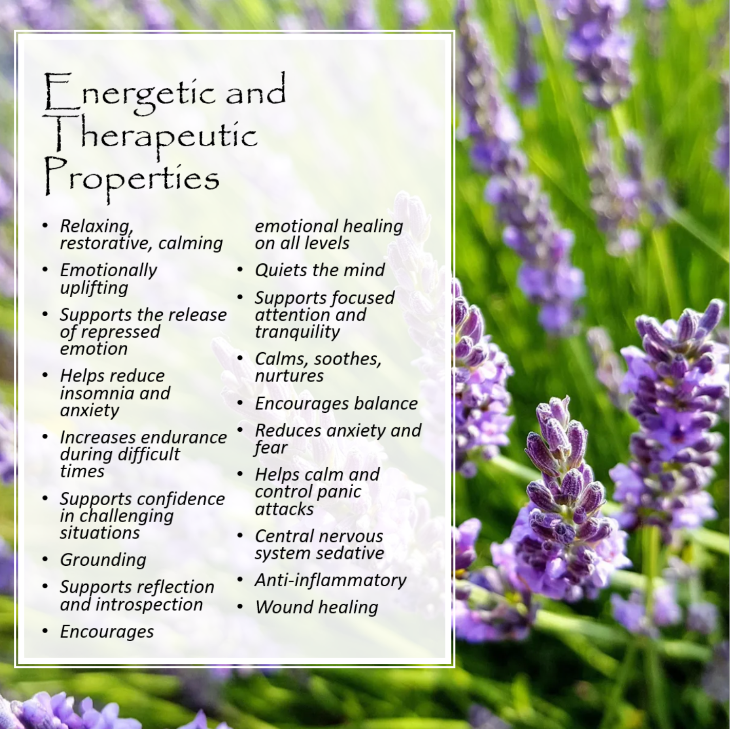 Massage Oils