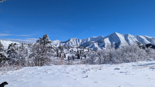 🌌 The 12/12 Portal: Balance, Breakthroughs & Truth