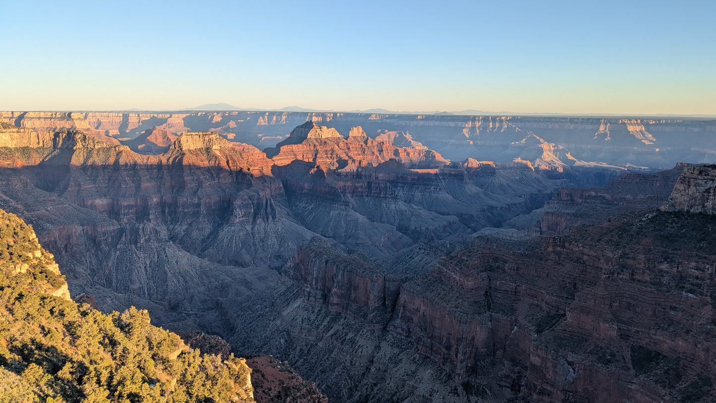 Mountain Freedom Wellness sleep and dream astrology — Lunar, Nocturne and Lucid tiers