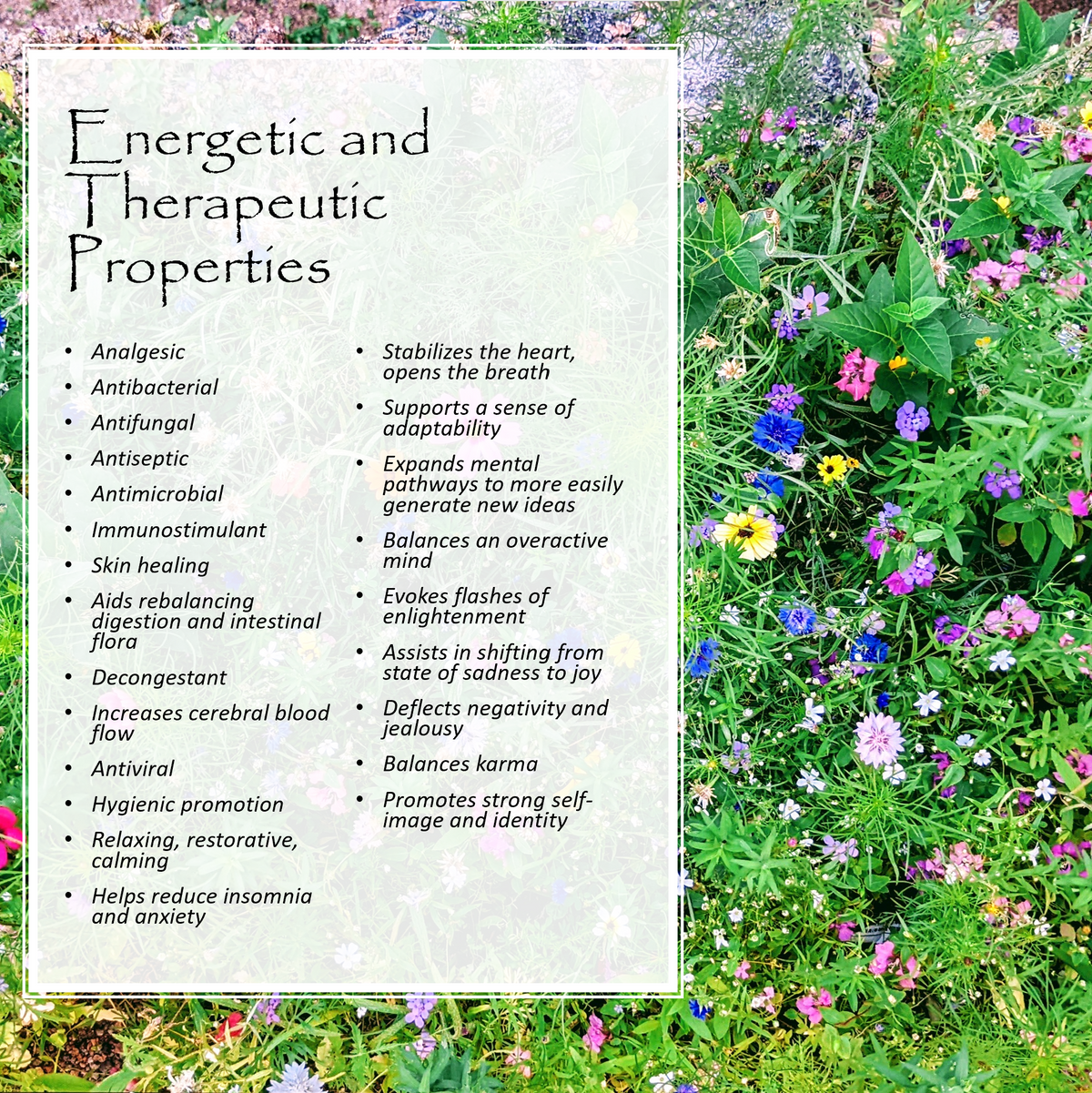 Siberian Spring blend label — Mountain Freedom Wellness