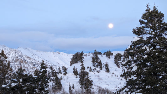 Medical Astrology Reading: Couples Compatibility (Synastry and Combined Charts - Single Session)